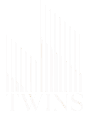 Twins Real Estate